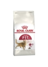 Royal Canin Fit 32 Yetişkin Kedi Maması 400 Gr