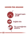 Royal Canin Fit 32 Yetişkin Kedi Maması 400 Gr