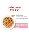Royal Canin Kitten Jelly Pouch Yavru Konserve Kedi Maması 85 Gr