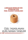 Royal Canin Labrador Retriever Yetişkin Köpek Maması 12 Kg