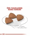 Royal Canin Mini İndoor Adult Yetişkin Köpek Maması 1.5 Kg