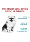 Royal Canin Mini İndoor Puppy Yavru Köpek Maması 1.5 Kg