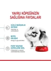 Royal Canin Mini İndoor Puppy Yavru Köpek Maması 1.5 Kg