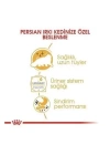 Royal Canin Persian Adult İran Kedisi Pouch Konserve Kedi Maması 85 Gr