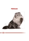 Royal Canin Persian Adult Yetişkin İran Kedisi Maması 4 Kg