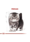Royal Canin Persian Kitten Yavru İran Kedisi Maması 2 Kg