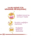 Royal Canin Persian Kitten Yavru İran Kedisi Maması 2 Kg