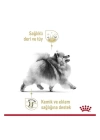 Royal Canin Pomeranian Adult Pouch Konserve Köpek Maması 85 Gr