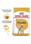 Royal Canin Poodle Adult Yetişkin Köpek Maması 3 Kg