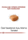 Royal Canin Poodle Adult Yetişkin Köpek Maması 3 Kg