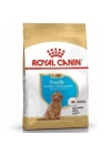 Royal Canin Poodle Junior Yavru Köpek Maması 3 Kg