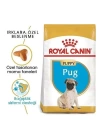 Royal Canin Pug Junior Yavru Köpek Maması 1.5 Kg