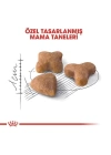 Royal Canin Sensible 33 Hassas Yetişkin Kedi Maması 400 Gr