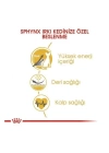 Royal Canin Tüysüz Sphynx Cinsi Yetişkin Kedi Maması 2 Kg