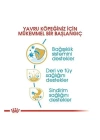Royal Canin Yorkshire Terrier Junior Yavru Köpek Maması 1.5 Kg