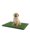 Yavru Köpek Tuvalet Eğitim Parkı 3 Katmanlı - 45cm X 32 Cm