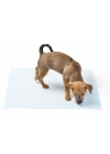 Yıkanabilir Köpek Çiş Pedi - 100 X 100 Cm 5li Paket