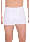 Berrak Erkek  Modal Boxer  4476