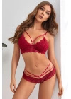 Kadın Bordo Dantelli Harness Sütyen Külot Takım