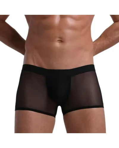 Fantezi Transparan Tül Erkek Boxer -Seksi İç Gösteren Erkek Boxer