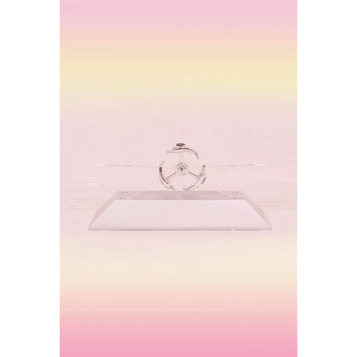 BUFFER® Dekoratif Masa Üstü Obje Manyetik Kinetik Orbital Dönen Yunuslar