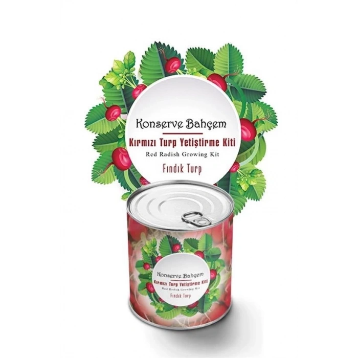 BUFFER® Konserve Bahçem Evde Konservede Fındık Turp Yetiştirme Kiti