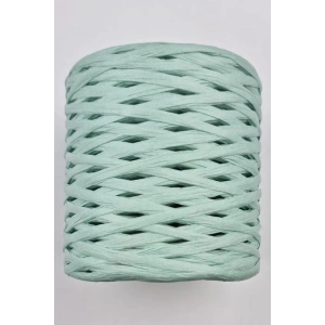 Rafya İp 50 gr Mint