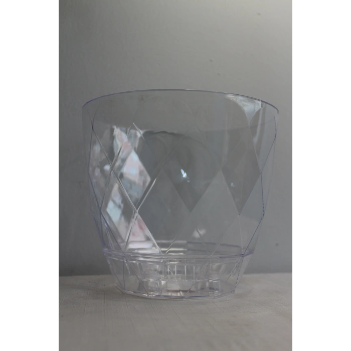 Karasu Yakamoz Orkide Saksı No 2