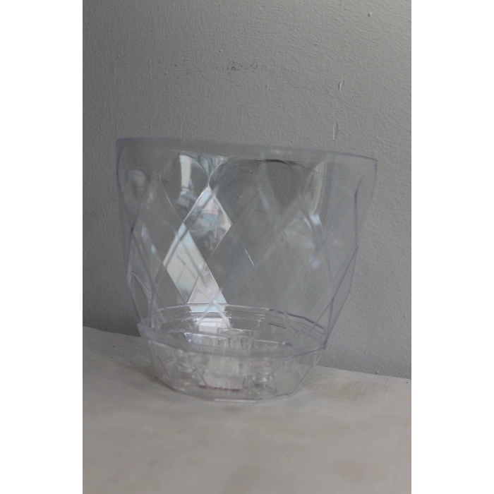 Karasu Yakamoz Orkide Saksı No 3