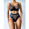 Will Like Özel Tasarım Siyah Özel Bölgesi Fermuar Detaylı Fileli Fantezi Sütyen Takımı
