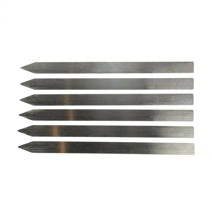 IGRILL Adana Kebab Skewer Set 60x4 cm Stainless Steel (6 Pieces)