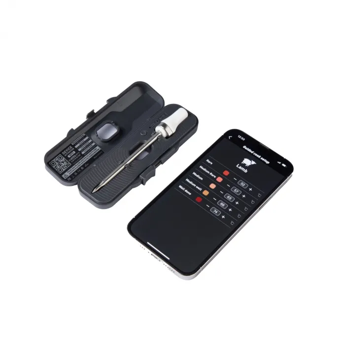 IGRILL Tam Kablosuz (Bluetooth) Seramik Sıcaklık Ölçer Gıda Termometresi