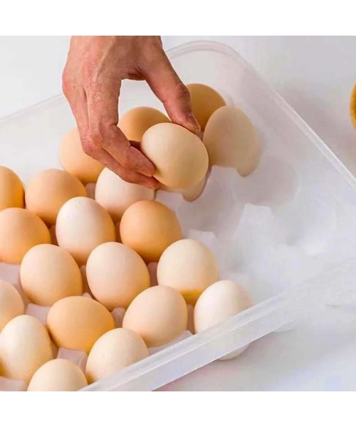 BiiShe® 30lu Yumurta Saklama Kabı