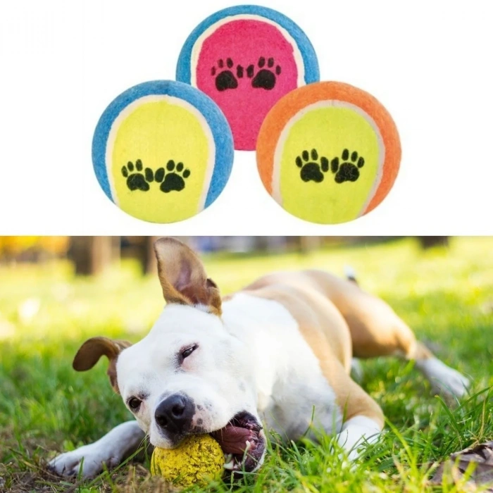 BiiShe®  3lü Renkli Desenli Tenis Topu Kedi Köpek Oyuncağı