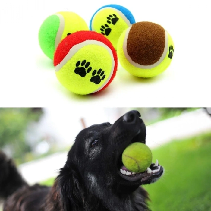 BiiShe®  3lü Renkli Desenli Tenis Topu Kedi Köpek Oyuncağı