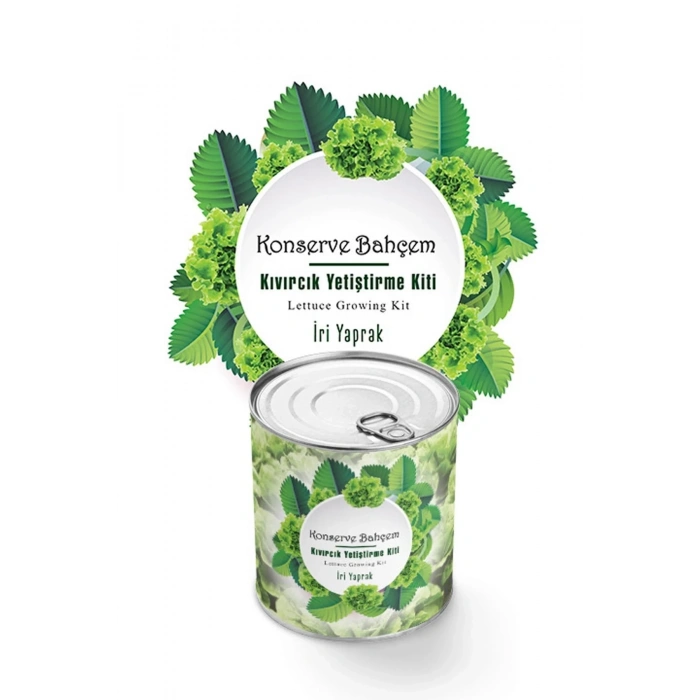 BiiShe® Konserve Bahçem Evde Konservede İri Yapraklı Kıvırcık Yetiştirme Kiti