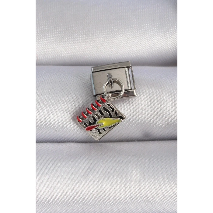 Mey İthalat® 316L Çelik Gümüş Renk Sallantı Defter Figür Nomination Charm