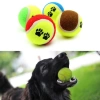 BiiShe®  3lü Renkli Desenli Tenis Topu Kedi Köpek Oyuncağı