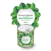 BiiShe® Konserve Bahçem Evde Konservede Sultani Bamya Yetiştirme Kiti