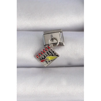 Mey İthalat® 316L Çelik Gümüş Renk Sallantı Defter Figür Nomination Charm