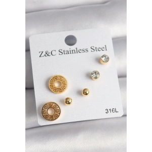 Mey İthalat® 316L Çelik Gold Renk Zirkon Taşı Labirent Model Kadın Küpe Seti