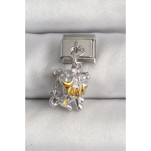 Mey İthalat® 316L Çelik Gümüş Renk Sallantı Aslan Model Nomination Charm