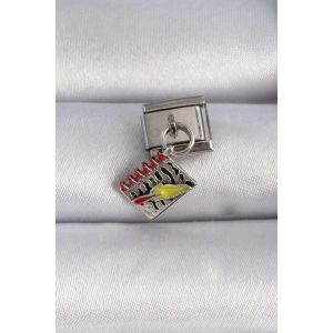 Mey İthalat® 316L Çelik Gümüş Renk Sallantı Defter Figür Nomination Charm