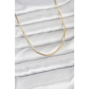Mey İthalat® CM 14K Gold Renk Kare Zincirli Model 60 cm Kadın Kolye