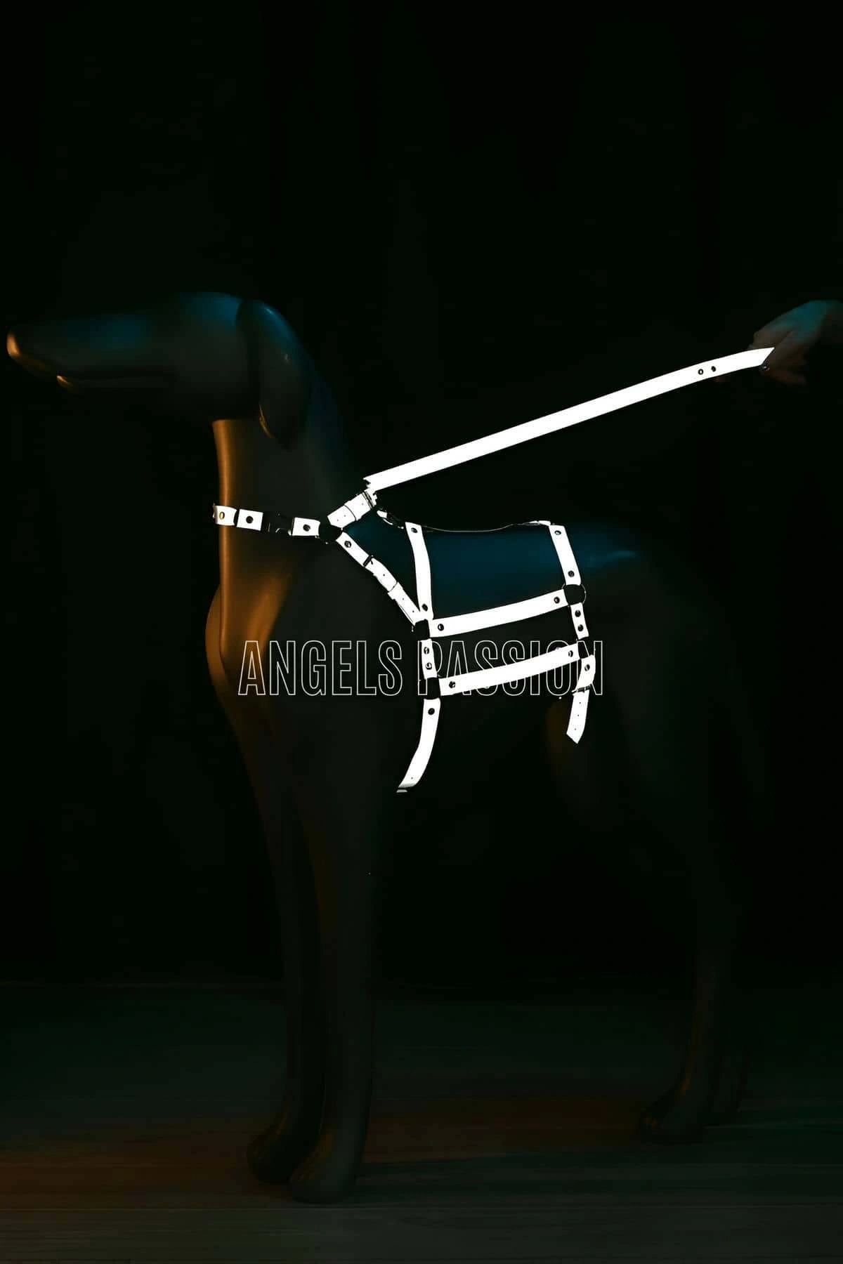 Reflektörlü - Ayarlanabilir Köpek Harness - Köpek Gezdirme Aparatı - Npd007