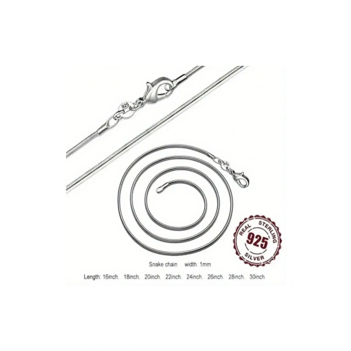 Kadın Kolye Moments Gümüş Kaplama Charm Takmaya Uygun Kadın Yılan zincir Kolye