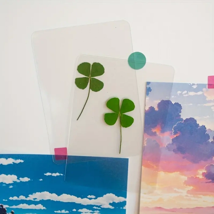 Şans Yoncası Gerçek 4 Yapraklı Yonca 2 Adet Lamine Hediyelik Şans Yoncası