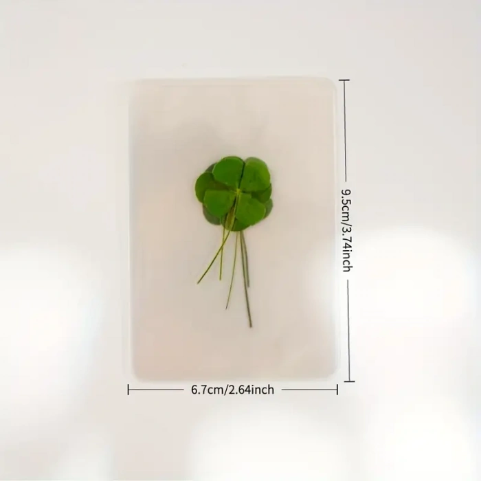 Şans Yoncası Gerçek 4 Yapraklı Yonca 2 Adet Lamine Hediyelik Şans Yoncası