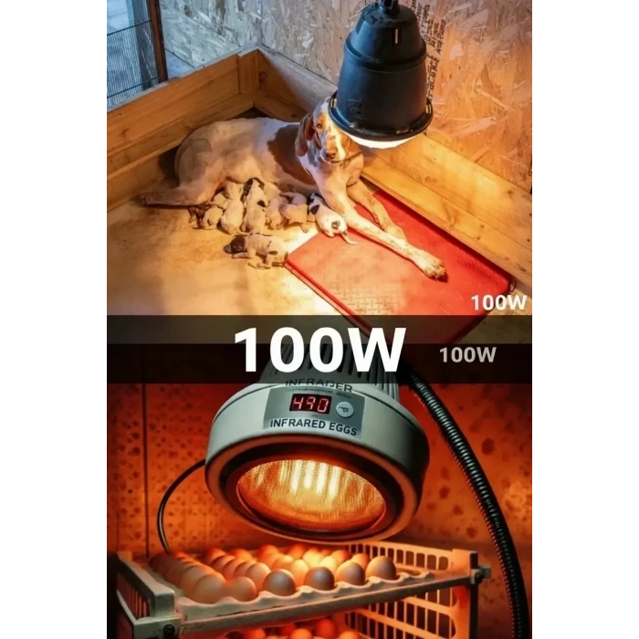100w Kızılötesi (infrared) Isıtıcılı Hayvan Isıtma Ve Kuluçka Lambası (kırmızı Işık) E27 (kalın Duy)