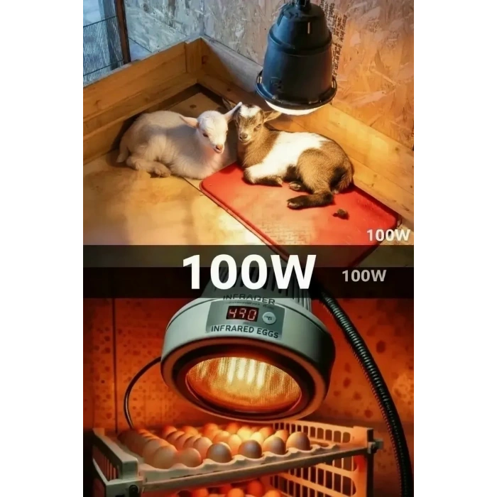 100w Kızılötesi (infrared) Isıtıcılı Hayvan Isıtma Ve Kuluçka Lambası (kırmızı Işık) E27 (kalın Duy)